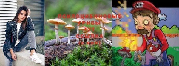 стаф Протвино