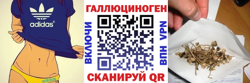 Галлюциногенные грибы мухоморы  Зима 